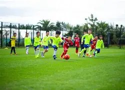 林诗栋亚洲,杯首战,轻取黄镇廷,米乐YY易游体育,米乐YY易游体育app,米乐YY易游体育官网,米乐YY易游体育下载,米乐YY易游体育入口