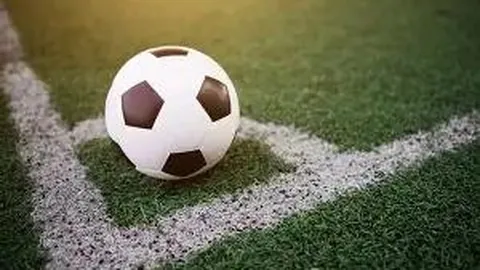 米乐YY易游体育