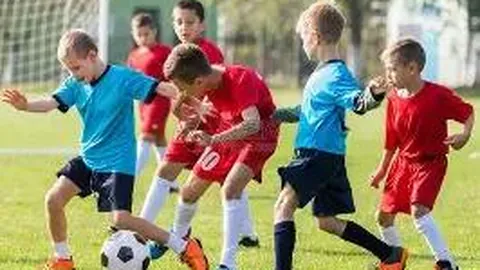 大王伤病状况不明，引发网友热议，官方回应16字28条