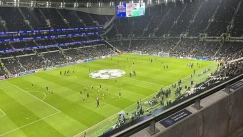 米乐YY易游体育